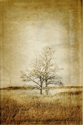 Similar image 441837