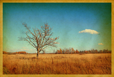 Similar image 441838