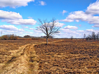 Similar image 441843