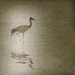 Similar image 441845