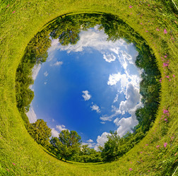 Similar image 441862