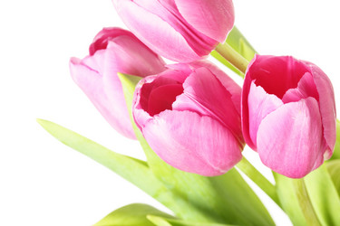 Similar image 441883