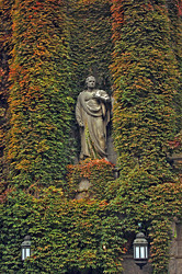 Similar image 441927