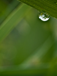 Similar image 441943