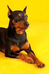 Similar image 441947