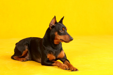 Similar image 441949