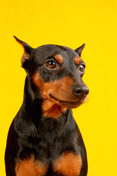 Similar image 441950