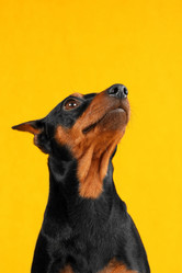 Similar image 441951