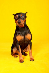 Similar image 441952