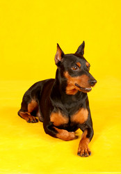 Similar image 441955