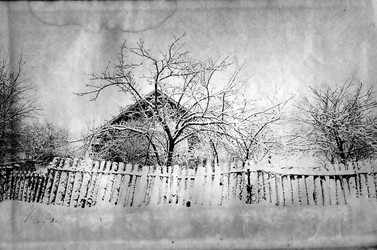 Similar image 441956