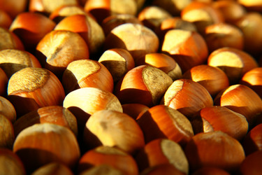 Similar image 441957