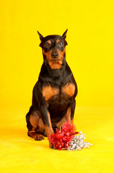 Similar image 441958