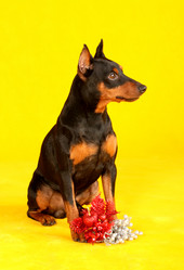 Similar image 441959