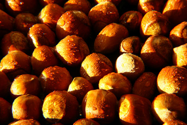 Similar image 441961