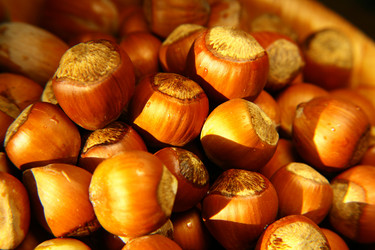 Similar image 441965