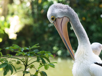 Similar image 441973