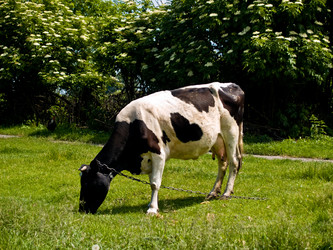 Similar image 441982