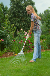 Similar image 441991