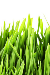 Similar image 441992