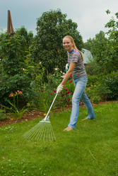 Similar image 441993