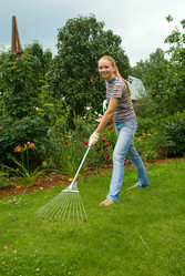 Similar image 441994