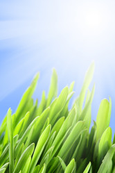 Similar image 441995