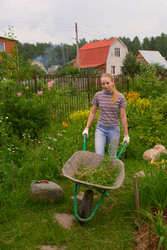 Similar image 442002