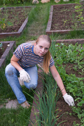 Similar image 442011