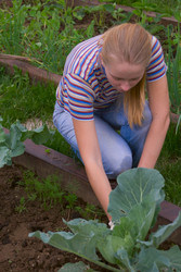 Similar image 442012