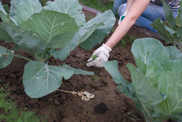 Similar image 442017