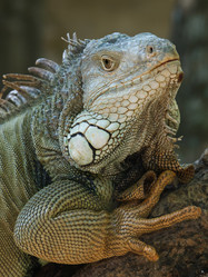 Similar image 442027