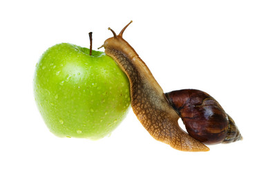 Similar image 442040