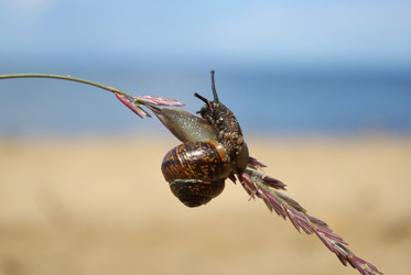 Similar image 442051