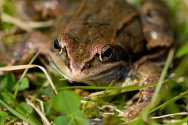 Similar image 442053