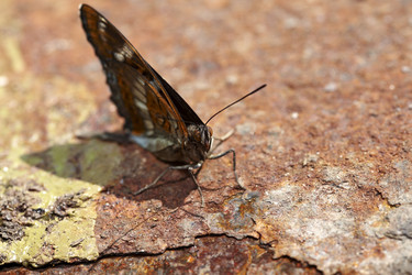 Similar image 442055