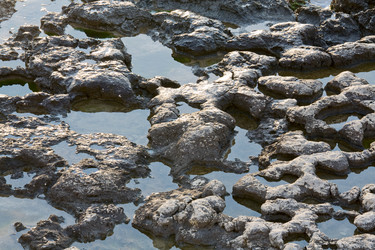 Similar image 442056