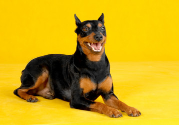 Similar image 442057