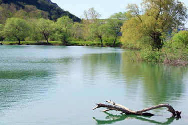 Similar image 442071