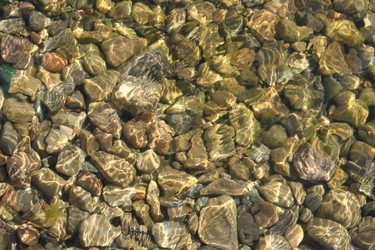 Similar image 442077