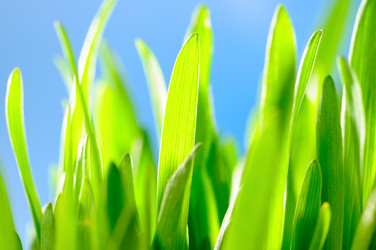 Similar image 442081