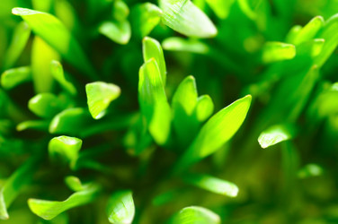 Similar image 442084