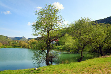 Similar image 442086