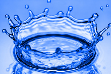 Similar image 442092