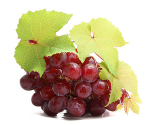 Similar image 442105