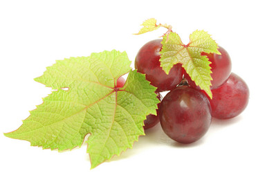 Similar image 442108