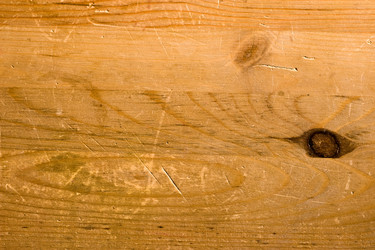 Similar image 442125