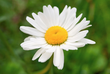 Similar image 442170