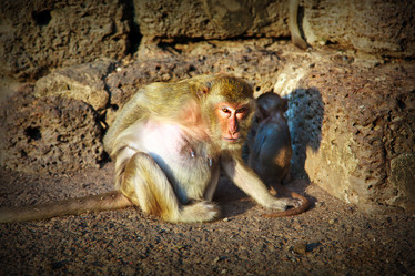 Similar image 442207