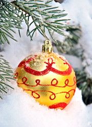 Similar image 442209